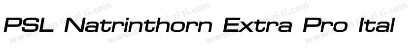 PSL Natrinthorn Extra Pro Italic字体转换